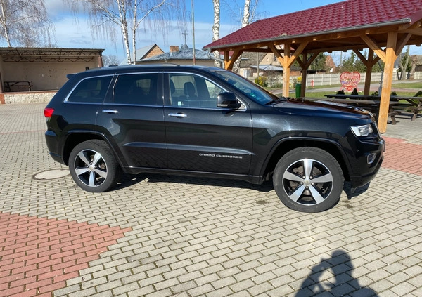 Jeep Grand Cherokee cena 109000 przebieg: 116900, rok produkcji 2015 z Wolsztyn małe 667